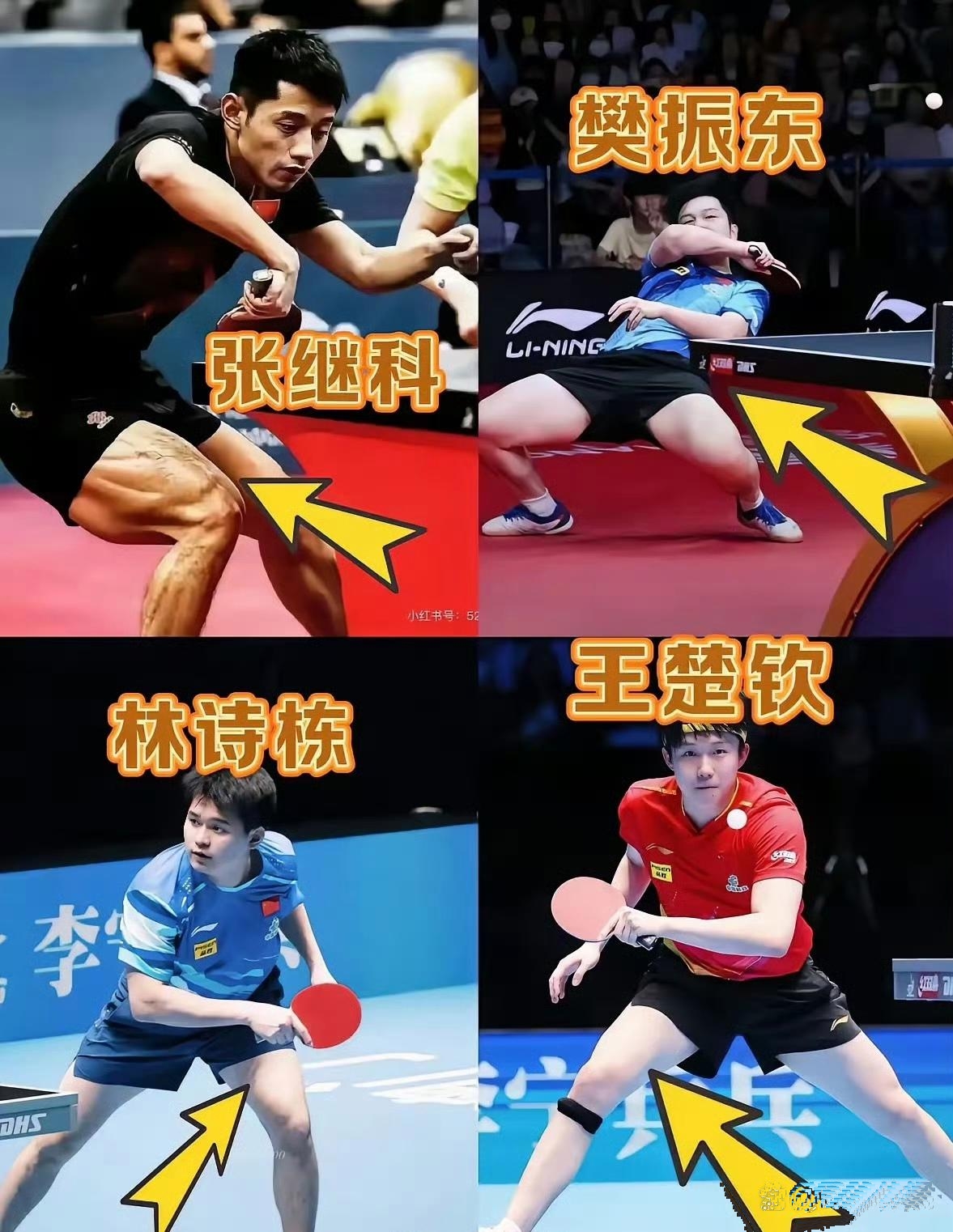 关于法国乒乓球队鏖战韩国乒乓球队，张继科完成帽子戏法的信息