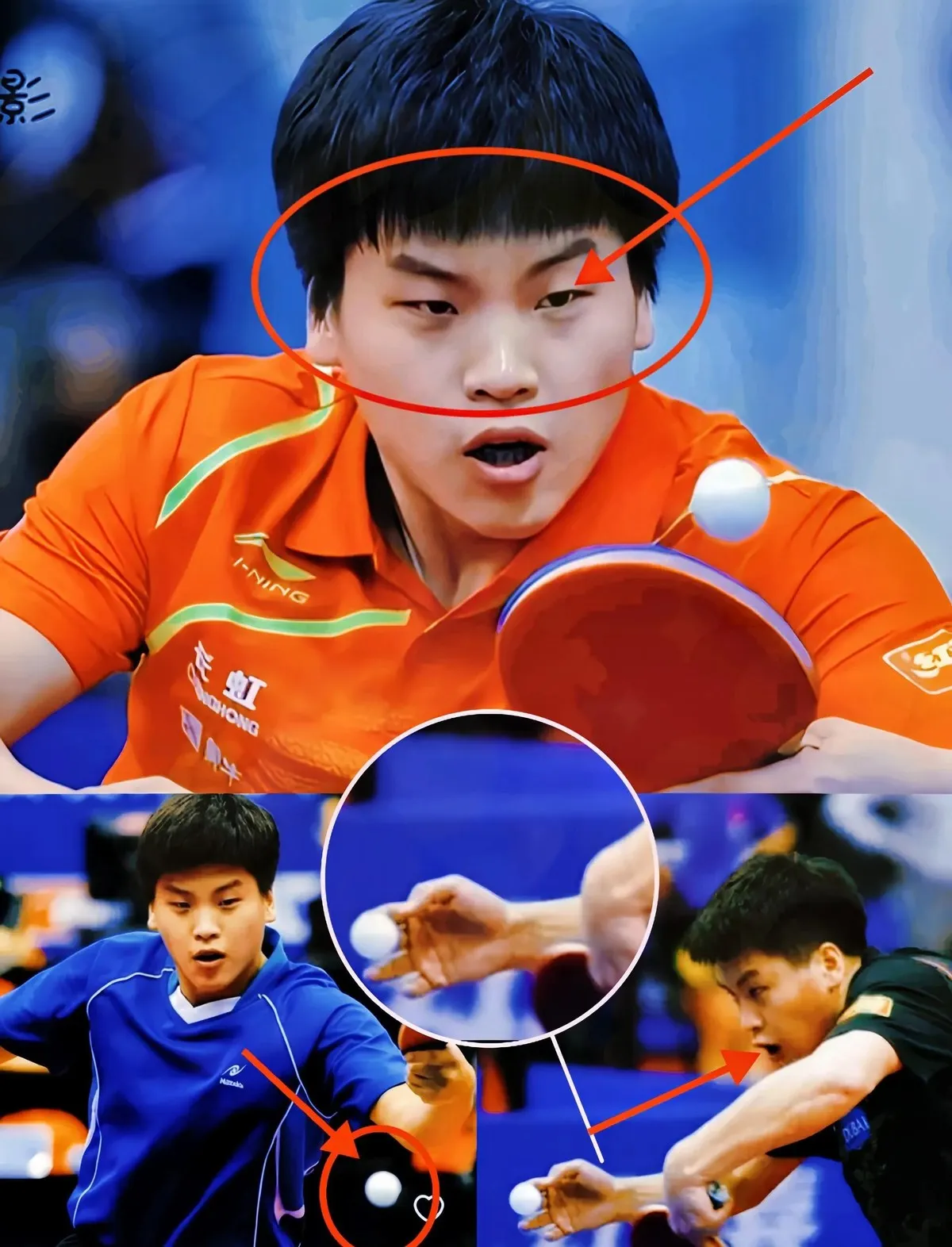 德国乒乓球队险胜韩国乒乓球队,张继科绝境逆转 德国乒乓球队险胜韩国乒乓球队,张继科绝境逆转