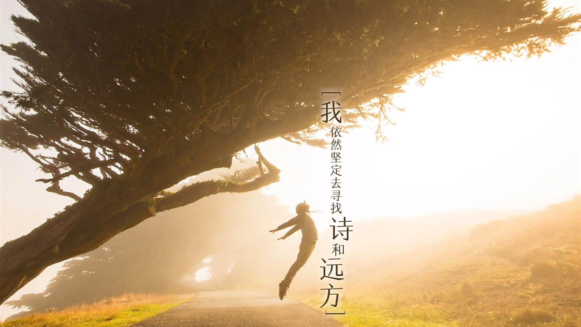 跨界博弈,马刺的数据链条如何锁住凯尔特人,却为莫兰特开辟英雄之路?