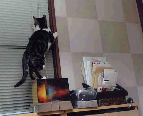 那不勒斯的天空,阿根廷的星空,与格列兹曼脚下的土壤,2023,足球三重奏的独一性