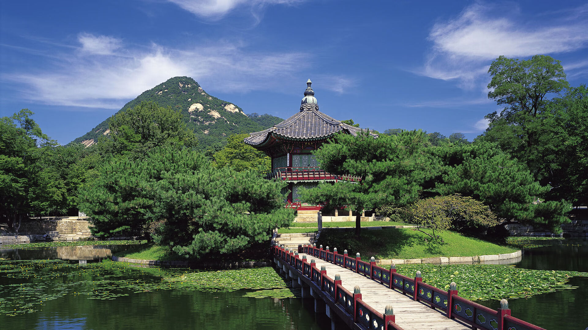 黑马奔腾，几内亚逆袭风暴，年度焦点之战重塑非洲足球版图