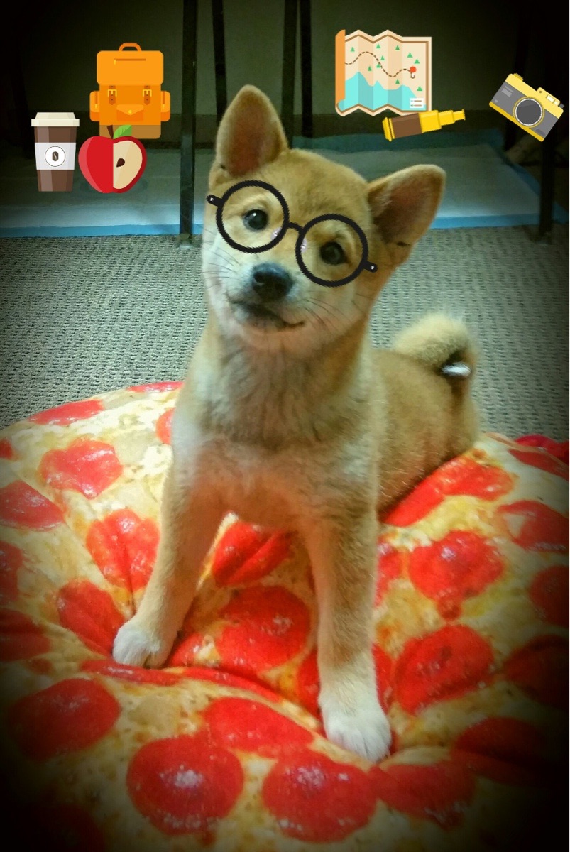 布伦森摧枯拉朽！灰熊钢铁防线捍卫主场，硬仗中力克老鹰