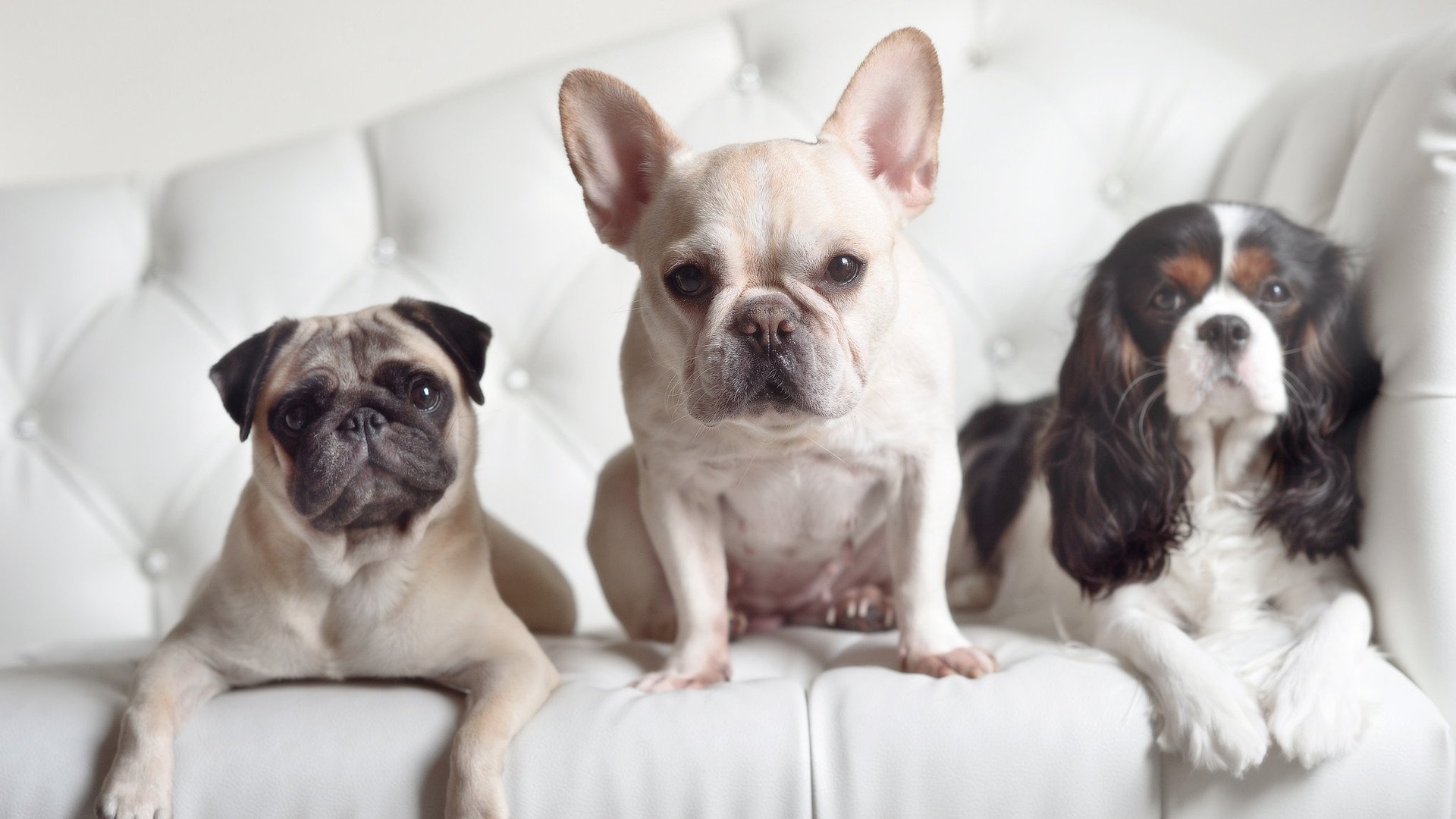 阿克,在众神之墙上凿开一道光