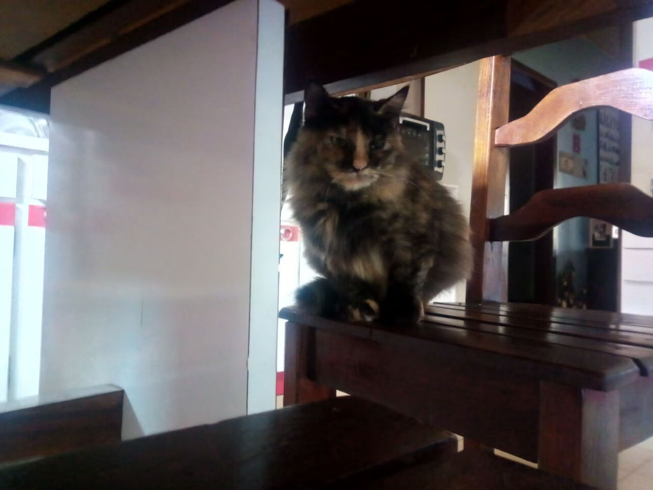 外援霍勒迪一剑封喉，浙江队攻陷上海滩终结系列赛悬念