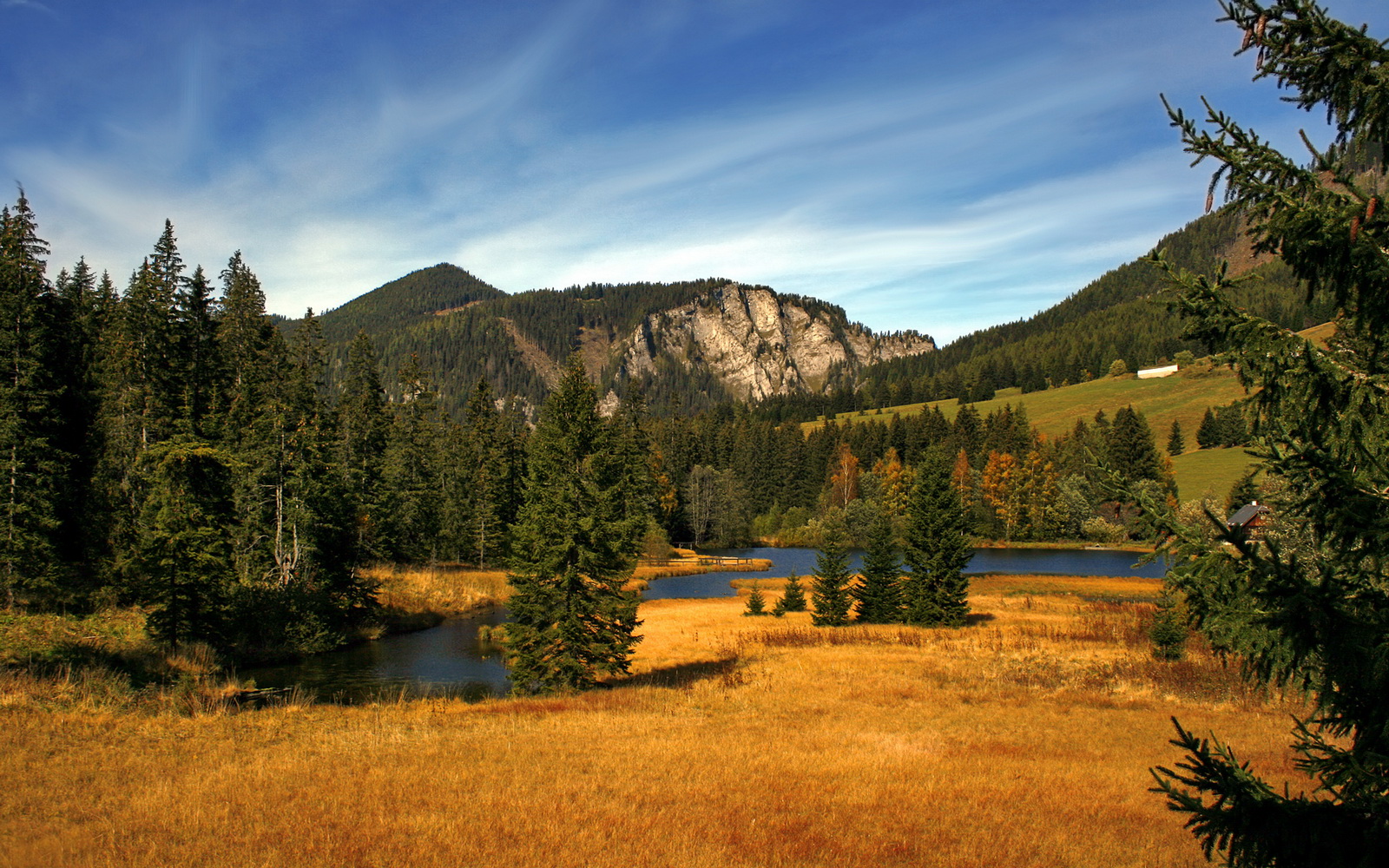 钢铁与火焰,浙江队铁血压制开拓者,霍勒迪于美加墨世界杯接管时代