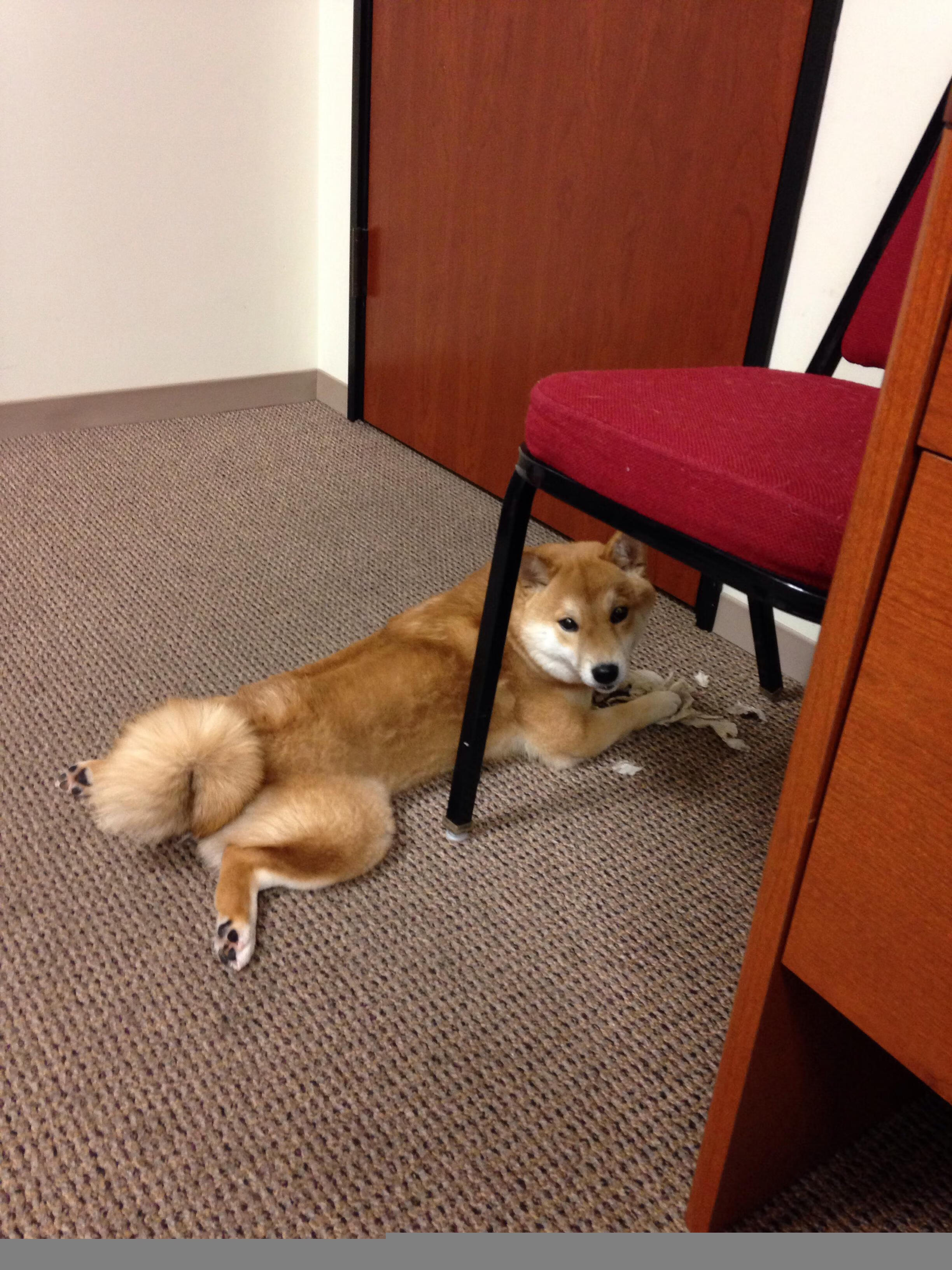 地壳运动报告，熔岩喷涌下的岛屿沉默与压力型前锋的造山运动